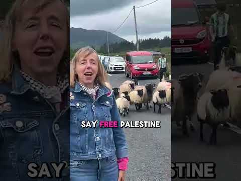 Free Palestine!