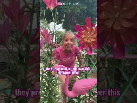 Long live the Flamingo Revolution