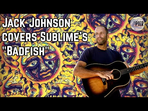 Jack Johnson - "Badfish" (feat. Money Mark)