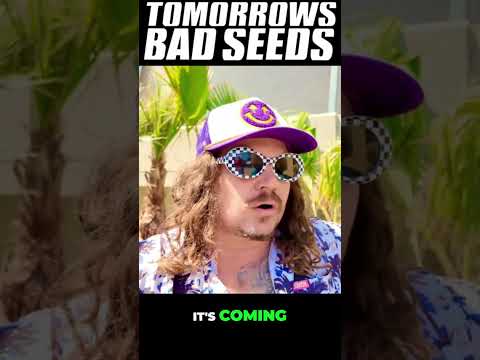 J-Bird From Tomorrows Bad Seeds Offers New Album Update
