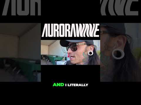 Aurorawave Combine Metal and Reggae on New Album