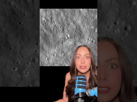 Did the moon ring like a bell when a SpaceX Falcon 9 rocket part hit it? #space #Astronomy #Science