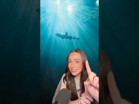 Sharks are older than most things on Earth… #space #astronomy #science #earth #shorts