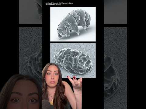 Tardigrades in the vacuum of space and on the MOON #space #astronomy #nasa #science #shorts