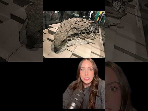 Giant marine animals lived in the middle of North America for millions of years…  #earth #science