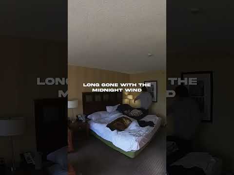 The Elovaters - I'll Leave The Light On Always 🫶🕯️