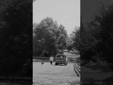 The Elovaters - "Good Old Days" Official Music Video Teaser