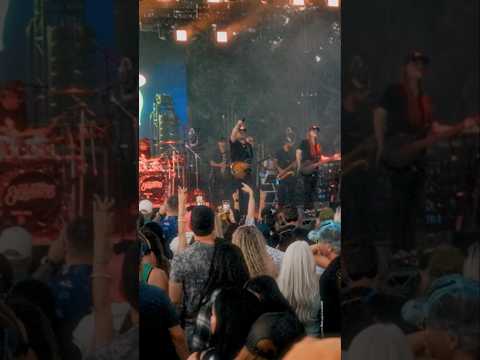 The Elovaters - Mission Bayfest Recap October 2025