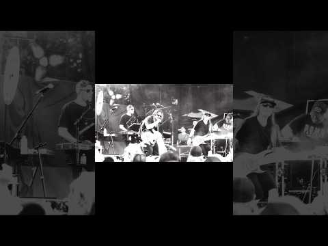The Elovaters - Seattle Postcards July 2026 | Road Trippin' Summer Tour with Slightly Stoopid