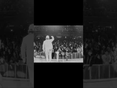 The Elovaters - Scenes from the Staring At The Sun Tour 🎞️