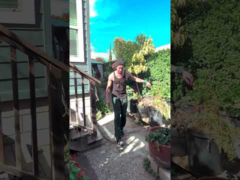 The Elovaters - Blaze Hacky Sack Trick of The Week #3