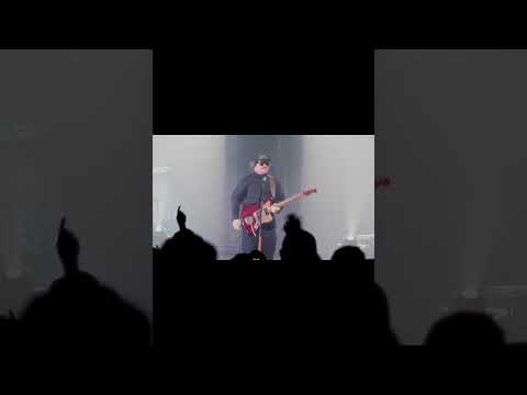 The Elovaters - Scenes from Week 4 of Sunburn Tour 2026