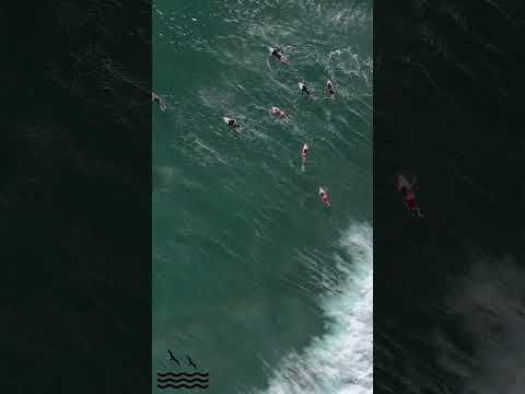 Sets pound the reef at Bowls