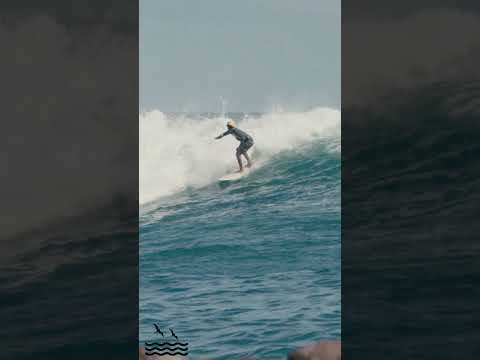SOUTH SHORE BOMB ROLLS THROUGH