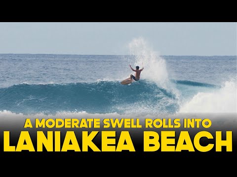 A MODERATE SWELL TURNS ON LANIAKEA BEACH