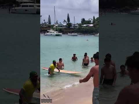 Doggo completes Da Hui Paddle Board Race