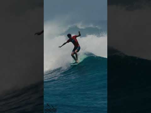 Rocco at the Local Motion Surf into Summer