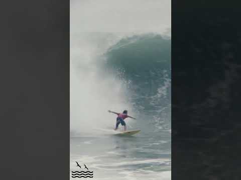 BLAIZE CANNON GETS BARRELED FROM THE 29th FLOOR