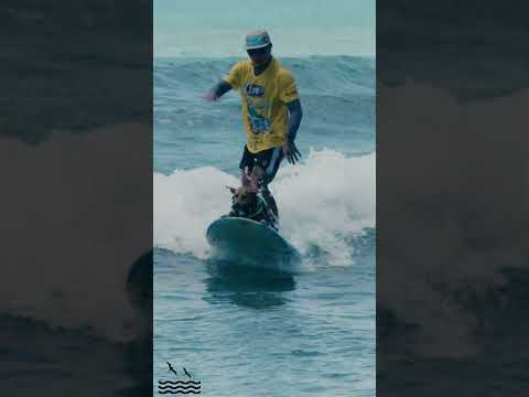 Ozzie and Devin surf all the way in!