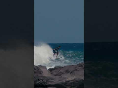 Ala Moana Bowls