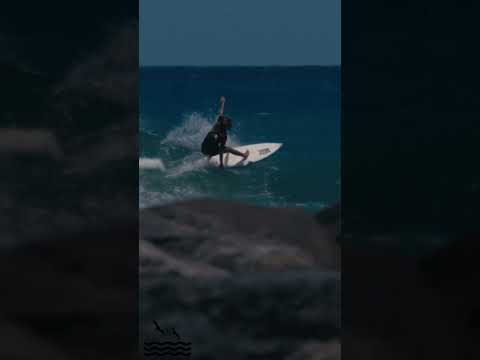 Grom power carves incoming long period swell