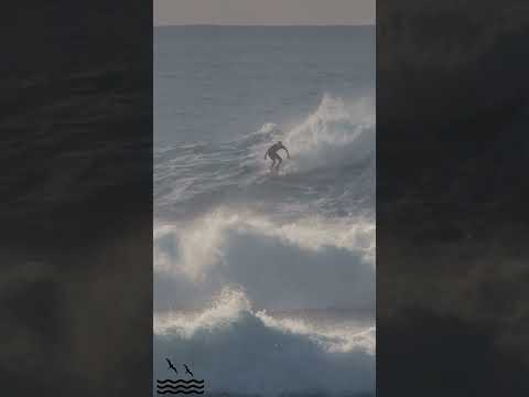 GAVIN SUTHERLAND SON OF LEGEND JOCK SUTHERLAND