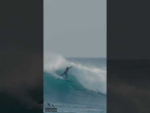 Out of Season swell brings overhead sets to Sunset Beach
