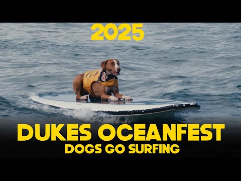 WATCH THE LARGEST DOGGY SURF CONTEST IN HAWAII