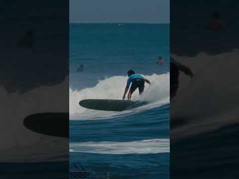 Rocco at the Local Motion Surf into Summer