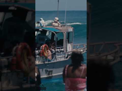 Couple turns at the Surf into Summer