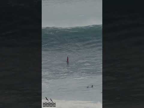 MASSIVE CLOSEOUT CLEARS THE LINEUP AT BOWLS