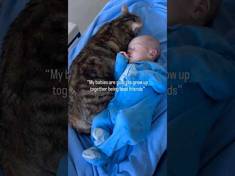 #cat & #baby growing up together 🥹❤️