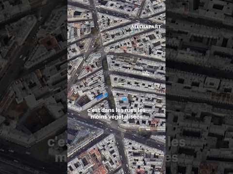 La canicule révèle le cruel manque d’arbres des grandes villes #shorts #mediapart #chaleur