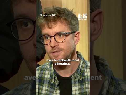 « La qualité de l’air retourne à des niveaux néfastes à cause des mégafeux » #shorts #mediapart