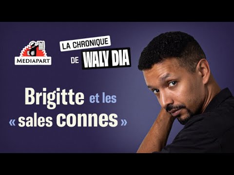 La chronique de Waly Dia. « Les “sales c*nnes”, c’est l’étape avant les “grosses p*tes” »