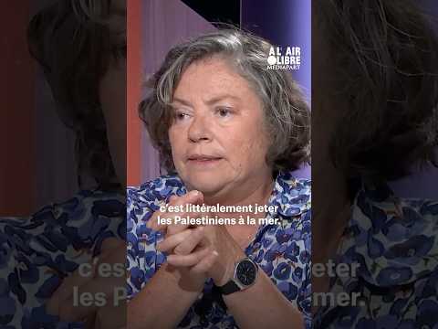 « Le mot "cessez-le-feu" sert de prétexte pour endormir la communauté internationale » #Gaza #shorts