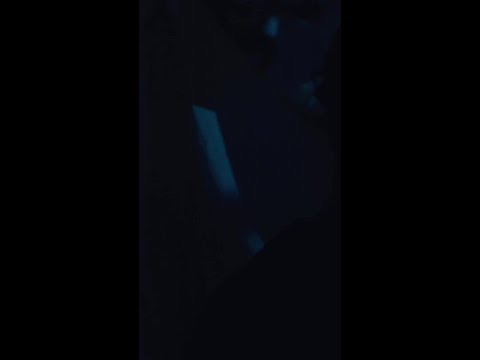 SOJA x Maoli “Did I Wait Too Long”