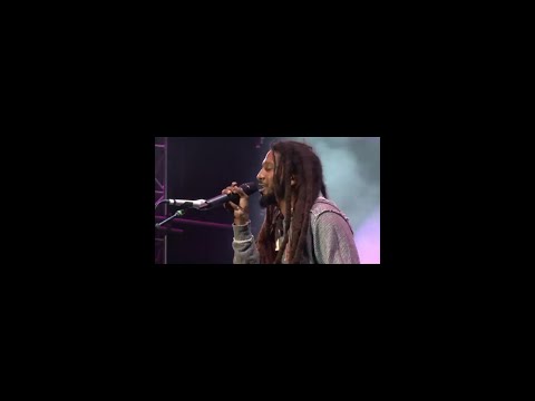 2015 Jamaica Jazz and Blues festival