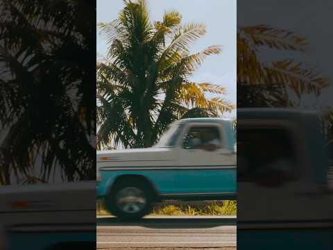 SOJA x Kolohe Kai
