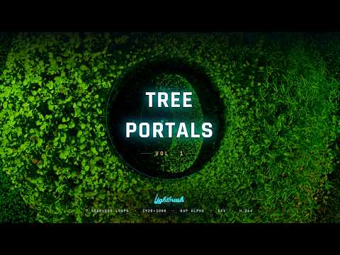 TreePortals Vol1 - VJ Loop Pack