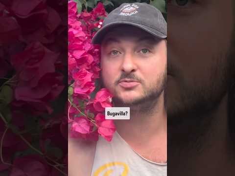 Key West to Texas and a little in between! We'll see you out there. Tickets online! 😏