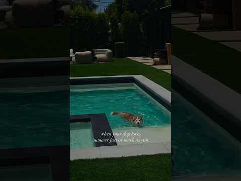 She love swimming ~333   #foryou #trending #viralvideo #shorts