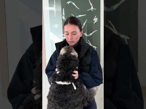 Mini gym vlog 💪🏼