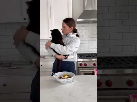 Full day of eats 😋