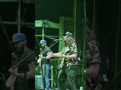 sun-soaked reggae-punk meets warped energy 🌴 @TheExpendablesMusic bringin’ the vibes