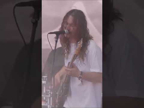 everything is copacetic 🥀 @knucklepuckil