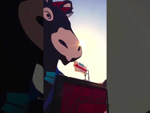 orlando delivered 💥 thanks to @owensmixers for keeping the flavor clean and the energy up all day 🆙