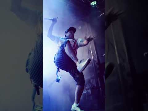 looking for high flying kicks, accordion riffs, and strings at warped? 🎻 @GogolBordello's got u 😌