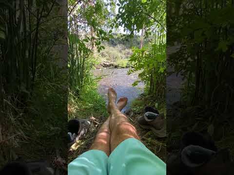 The Movement - Hook Finding Calm With The River