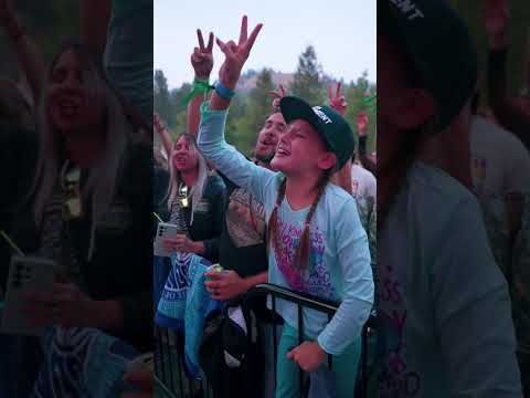 This life is a dream come true 🙏#TheMovement #reggae #music #rockmusic #shorts